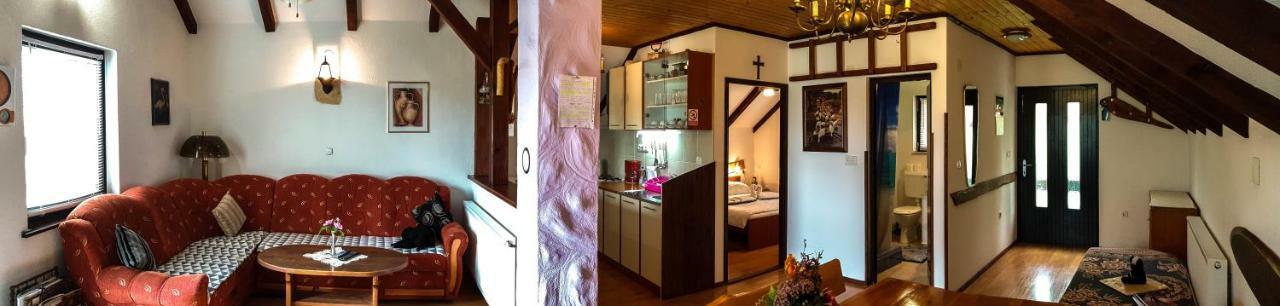 Apartment Franciska Rakovica Bagian luar foto